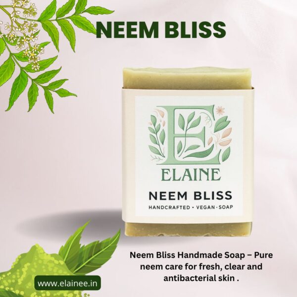 neem bliss – handmade vegan soap